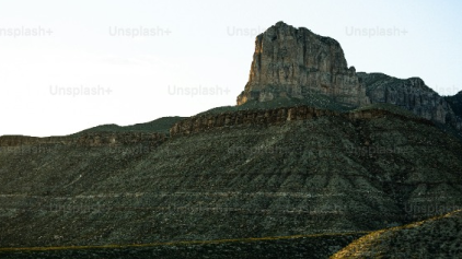 Aenean leo ligula, porttitor