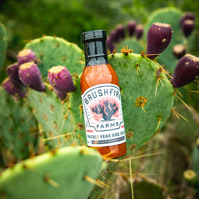 Prickly Pear BBQ Sauce — alternate view