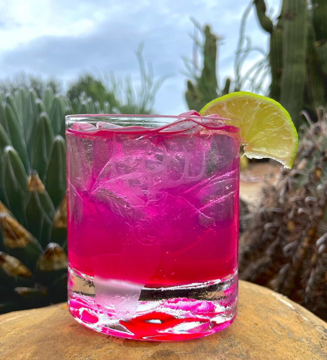 Prickly Pear Simple Syrup — alternate view