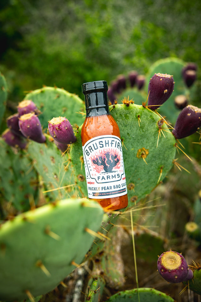 Prickly Pear BBQ Sauce — alternate view