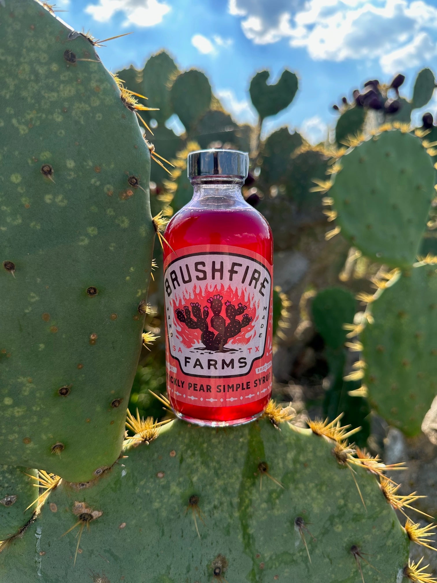 Prickly Pear Simple Syrup — alternate view