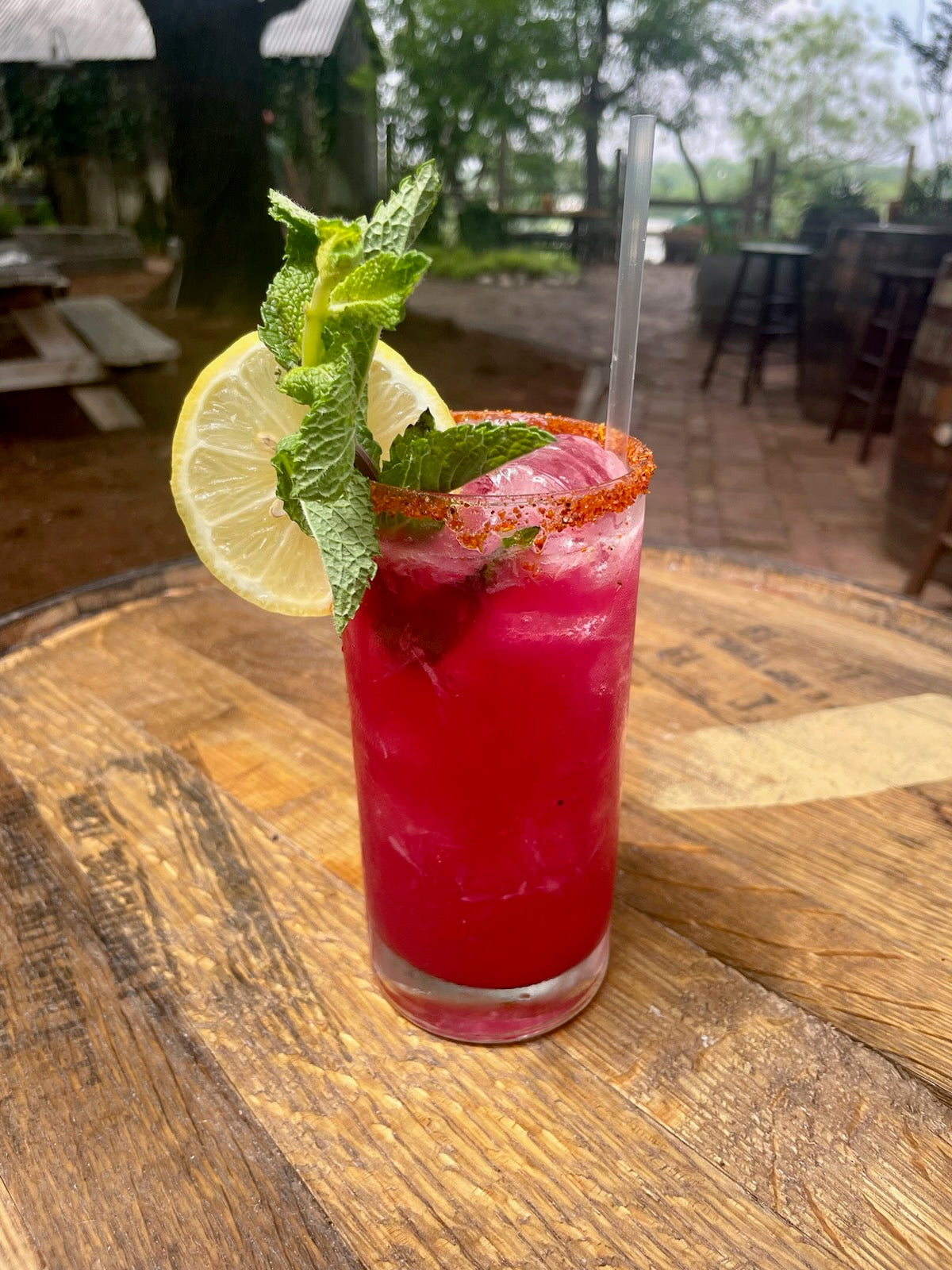 Bulk Prickly Pear Simple Syrup — alternate view