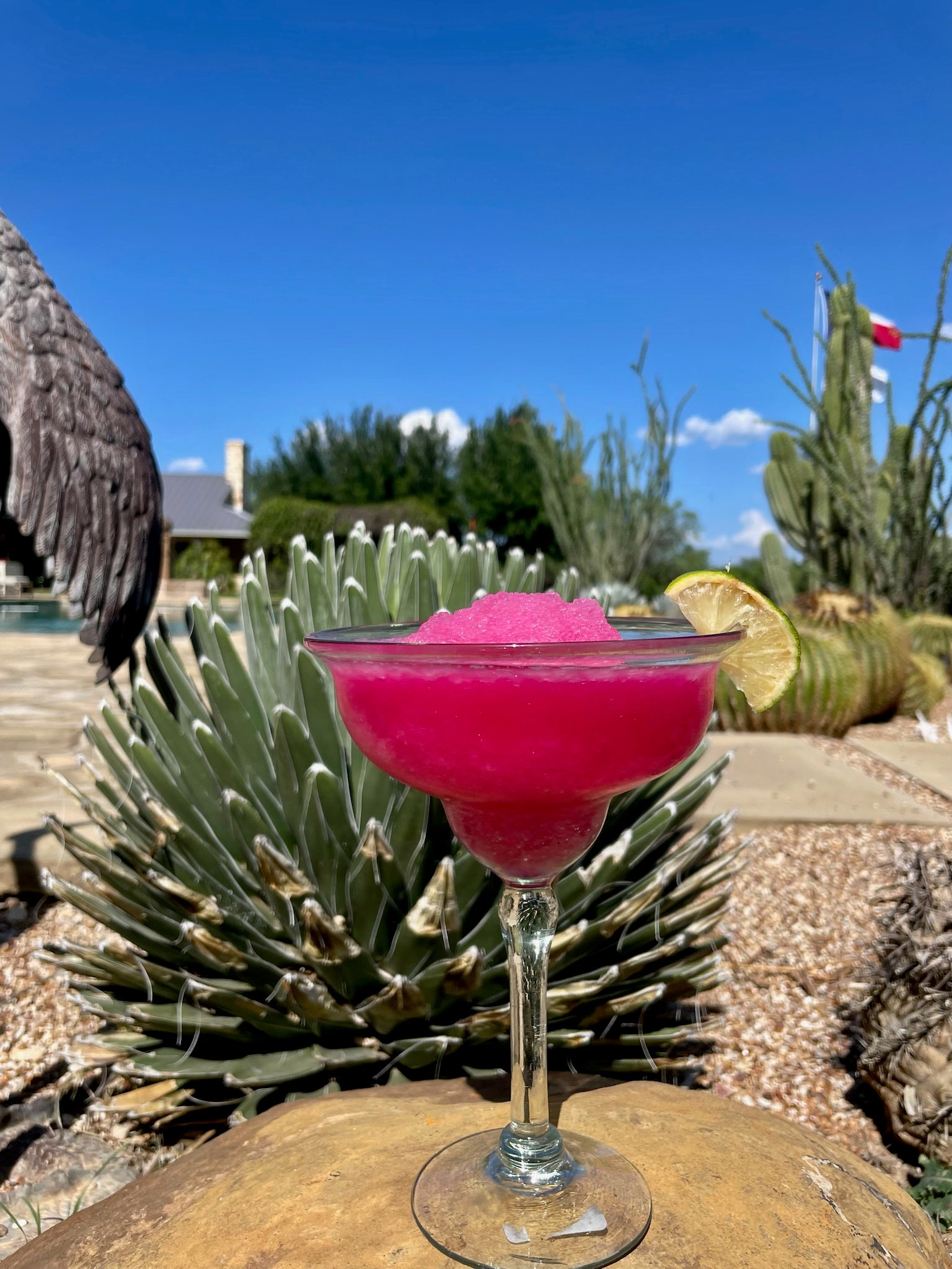 Prickly Pear Simple Syrup — alternate view