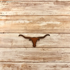 Universal Ironworks rustic metal longhorn head magnet