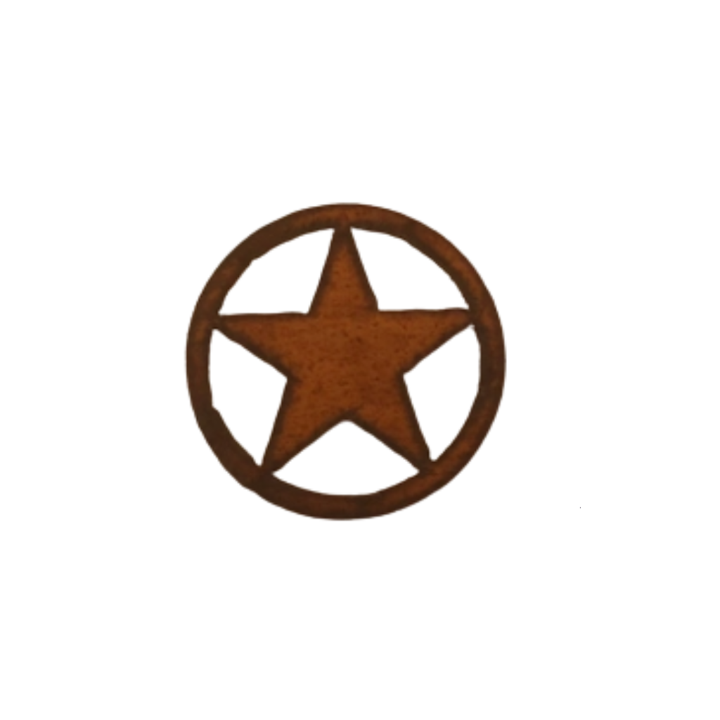 Texas western star magnet displayed as a Texas-themed keepsake from The Texas Gift Company storefront
