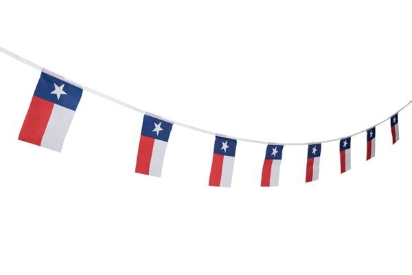 100 Feet Texas Flag TX Flag Lone Star State Flag Banner,TX State Flag Banner,Party Decorations For School Event,Sport Events,Festival