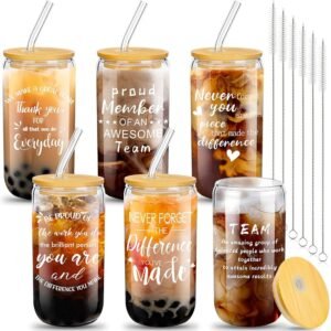 6 Set Employee Appreciation Gifts Thank You Gifts for Staff Coworker Team 16 oz Can Shaped Beer Glass Cups with Lids Straws Brushes for Teacher Thanksgiving Christmas(Classic...