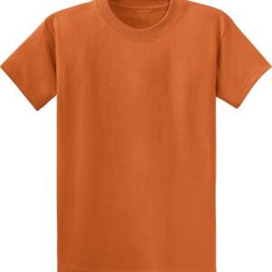 Clothe Co. Mens Heavyweight Cotton T-Shirt Plain Tee (Available in Big & Tall)