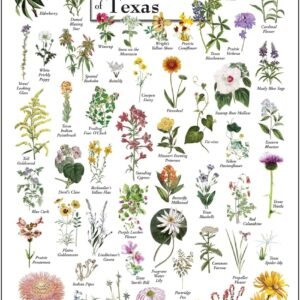 Earth Sky + Water - Wildflowers of Texas - Poster