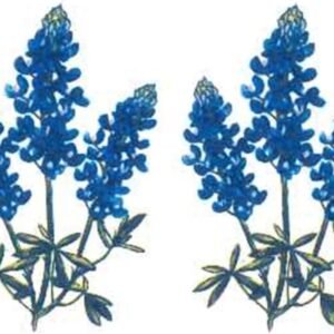 Flowers Texas Blue Bonnet Overglaze Ceramic Decals 1.5 Inch (21 Decals)