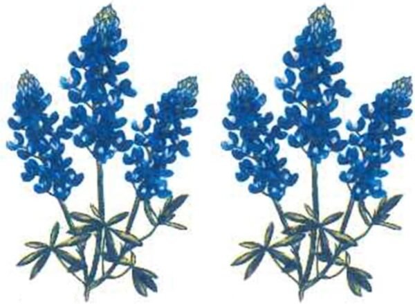 Flowers Texas Blue Bonnet Overglaze Ceramic Decals 1.5 Inch (21 Decals)