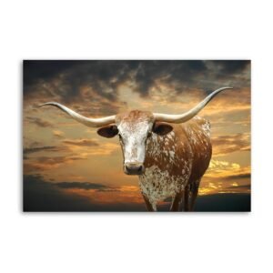 OMISKAHU Texas at Sunset Farm Longhorn Poster Decorative Painting Canvas Wall Art Living Room Posters Bedroom Painting 16x24inch(40x60cm)