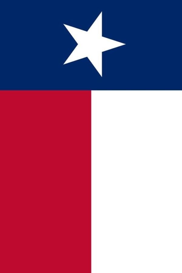 Texas Lone Star State Flag Cool Wall Art Print Poster 24x36