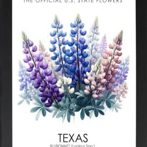 Texas State Flower (Bluebonnet) Framed Poster, Texas Offical State Flower, Texas Wall Art Decor, State Symbols, Flower Art, Wall Art, Home Deco (Framed 5x7 Inches) (TEXAS STATE...