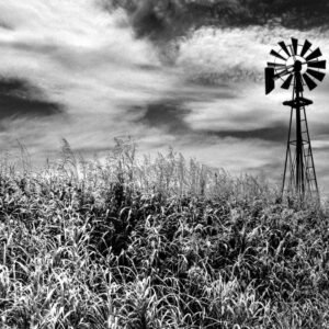 Timeless Windmill Texas Hill Country Rural Scene Photo Photograph Cool Wall Art Print Poster 36x24