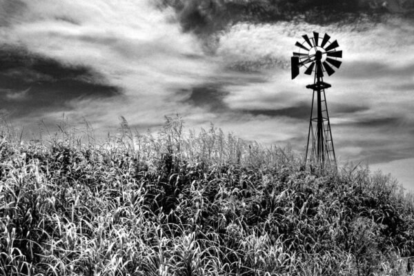 Timeless Windmill Texas Hill Country Rural Scene Photo Photograph Cool Wall Art Print Poster 36x24