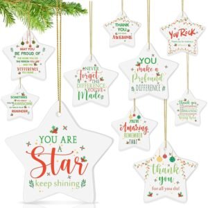 Tioncy 20 Pcs Christmas Thank You Ornament for Coworkers Be Proud Appreciation Gifts Thank You for Being Awesome Star Hanging Plaque for Employee Nurse Teacher Office Business...